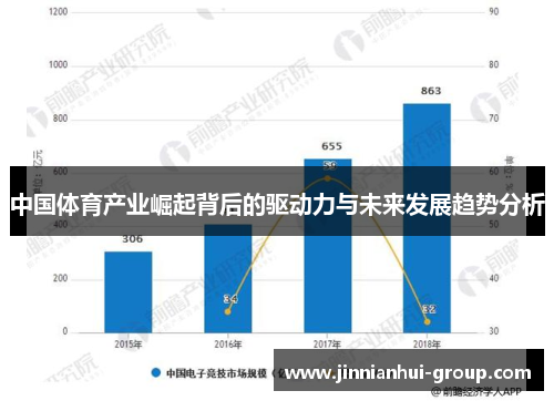 中国体育产业崛起背后的驱动力与未来发展趋势分析