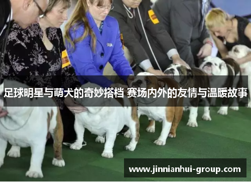 足球明星与萌犬的奇妙搭档 赛场内外的友情与温暖故事