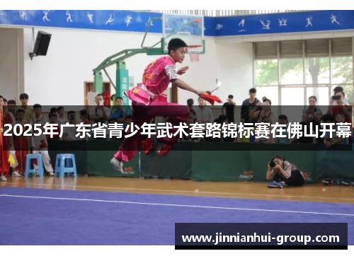 2025年广东省青少年武术套路锦标赛在佛山开幕